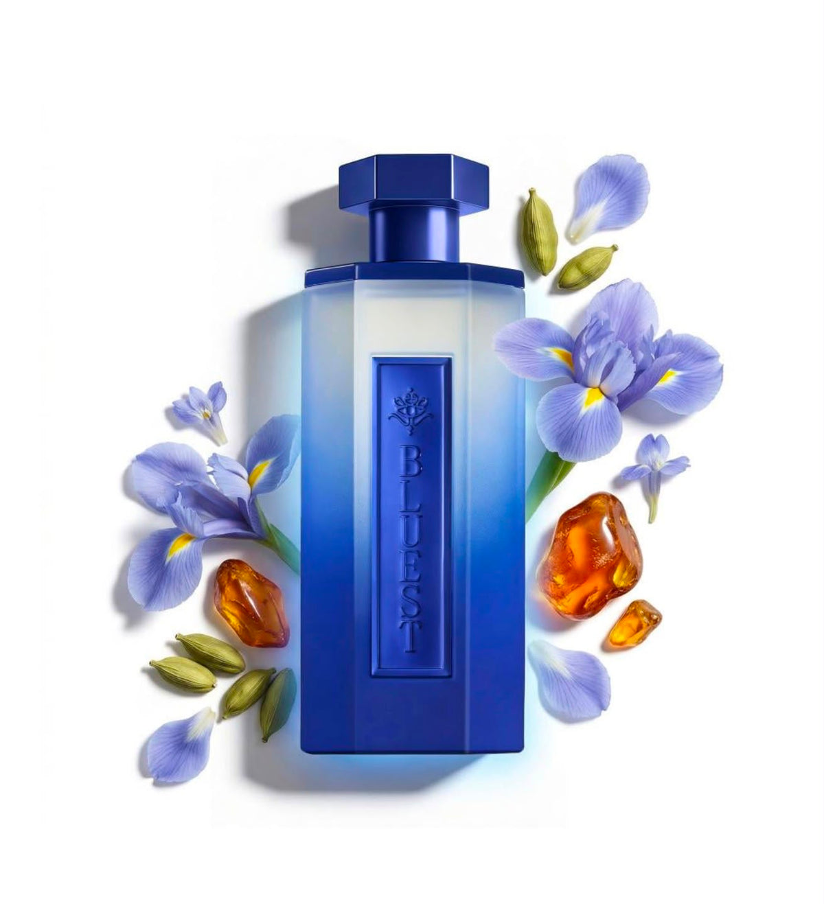BLUEST Perfume from REEF - 200 ml (for Men)